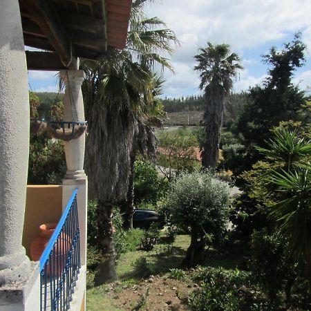 Casa Amarela Apartment Sao Pedro de Tomar ภายนอก รูปภาพ