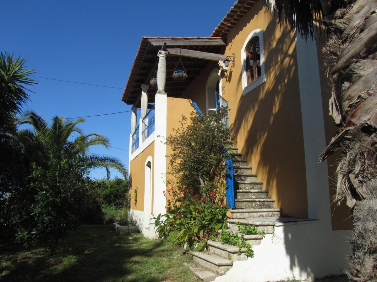 Casa Amarela Apartment Sao Pedro de Tomar ภายนอก รูปภาพ