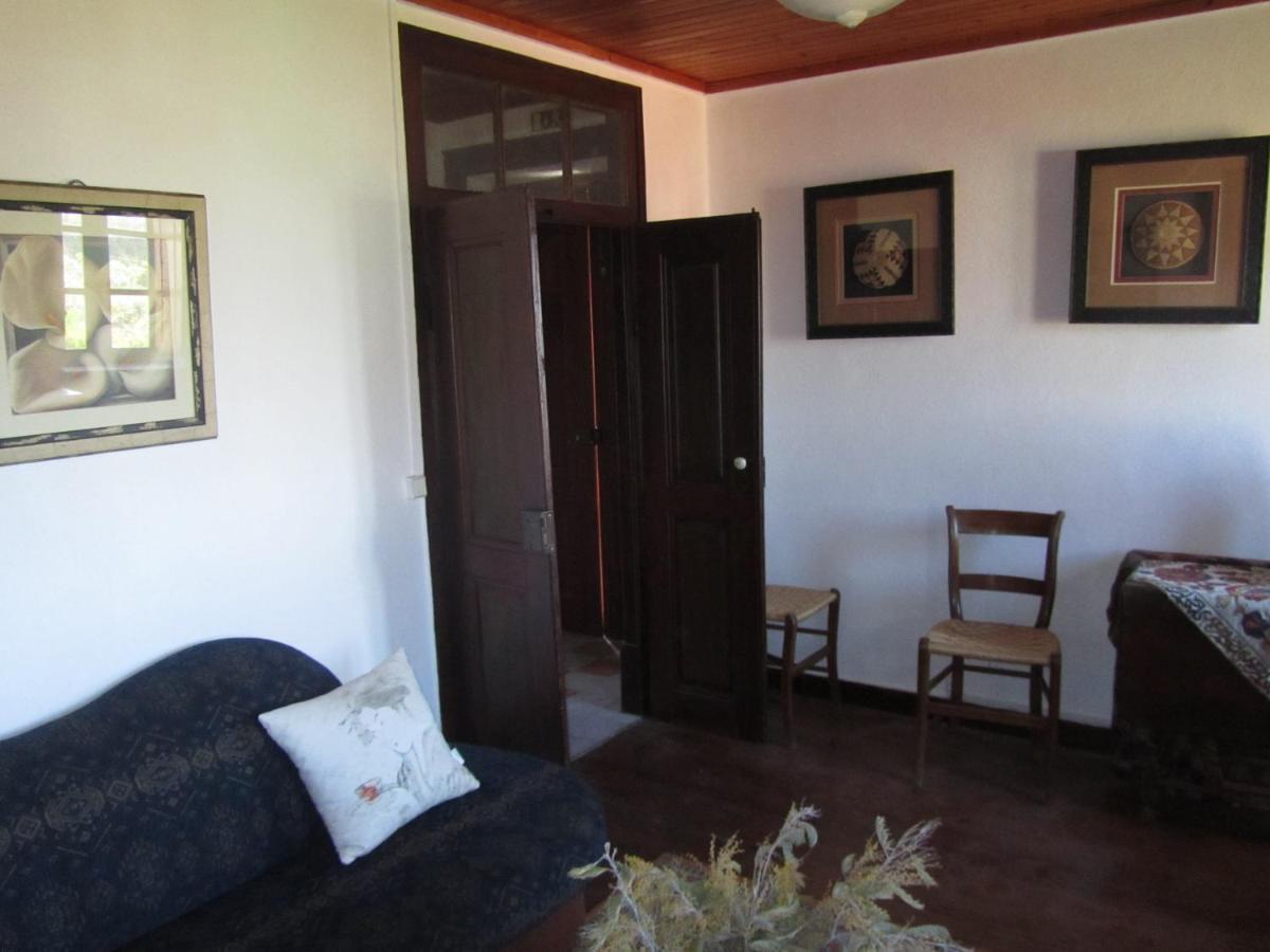 Casa Amarela Apartment Sao Pedro de Tomar ภายนอก รูปภาพ